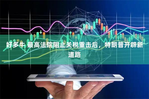 好多牛 最高法院阻止关税重击后，特朗普开辟新道路