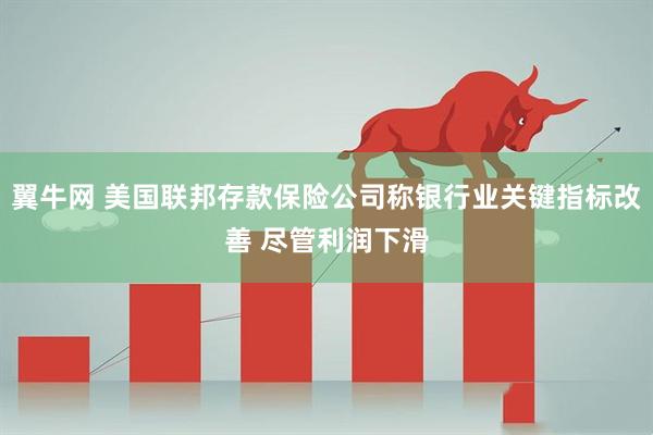 翼牛网 美国联邦存款保险公司称银行业关键指标改善 尽管利润下滑