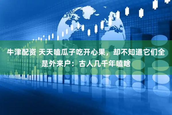 牛津配资 天天嗑瓜子吃开心果，却不知道它们全是外来户：古人几千年嗑啥