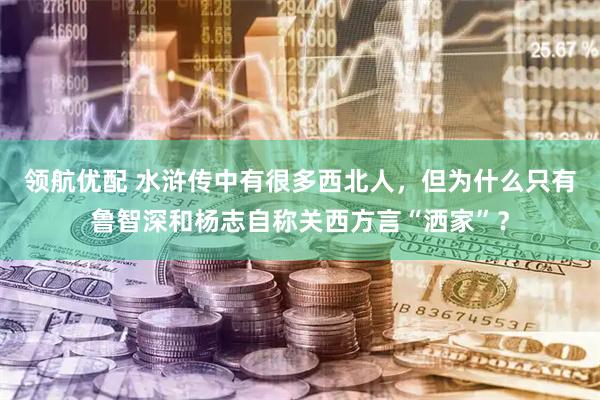 领航优配 水浒传中有很多西北人，但为什么只有鲁智深和杨志自称关西方言“洒家”？