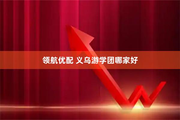 领航优配 义乌游学团哪家好