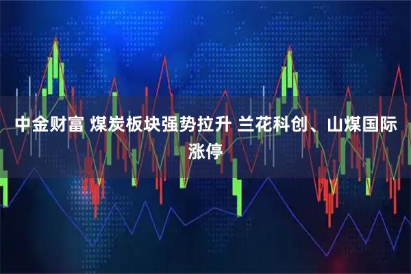 中金财富 煤炭板块强势拉升 兰花科创、山煤国际涨停